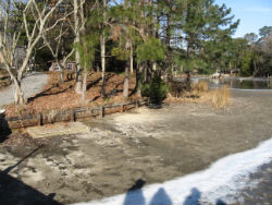 Holly Point Fiber Logs Before